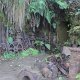 'Michells Gully Gold Mine' : alte Goldmine, heute ein kleines Museum bei Charleston