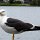 Möwe am Tjörnin-Teich