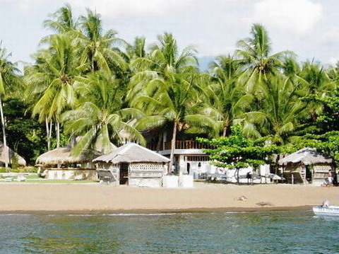 Pura Vida