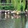 beim Zoo