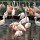 beim Zoo