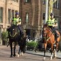 berittene Polizei