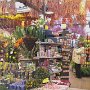 auf dem Blumenmarkt