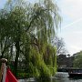 die schöne Singel-Gracht